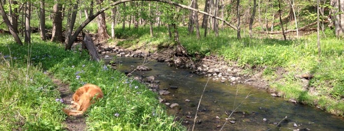 Fort Defiance State Park is one of Iowa: State and National Parks.