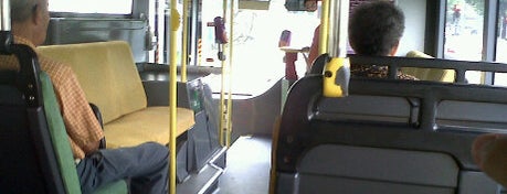 SBS Transit: Bus 16 is one of TPD "The Perfect Day" Bus Routes (#01).