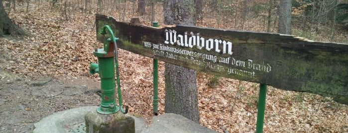 Waldborn is one of สถานที่ที่ Jörg ถูกใจ.