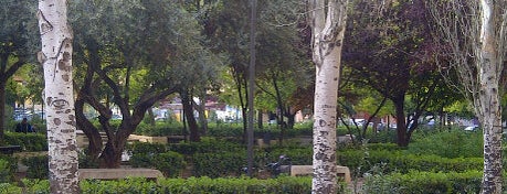 Plaza del Cedro is one of Comunidad Valenciana.