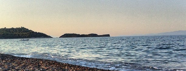 Agia Anna Beach is one of Ifigenia: сохраненные места.