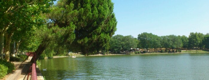 Lago de la Casa de Campo is one of Madrid.