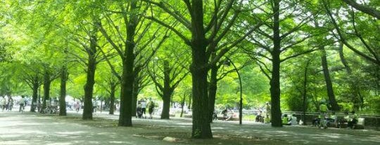 東京都立の公園・庭園