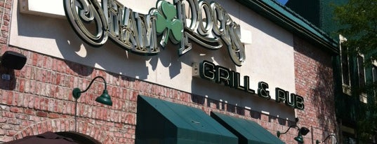 Shamrocks Grill and Pub is one of Sports Bars.