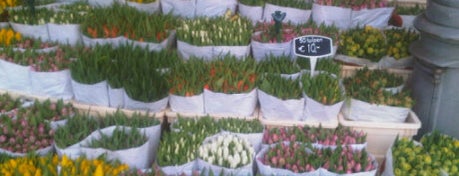 Flower Market is one of Holandas.