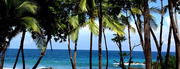 Playa Montezuma is one of Costa Rica favs.