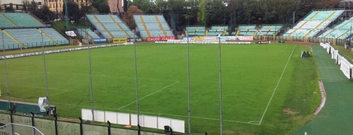 Stadio Artemio Franchi is one of Posti che sono piaciuti a Emre.