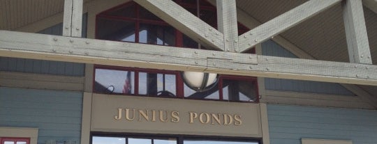 Junius Ponds Travel Plaza is one of Posti che sono piaciuti a Naira.