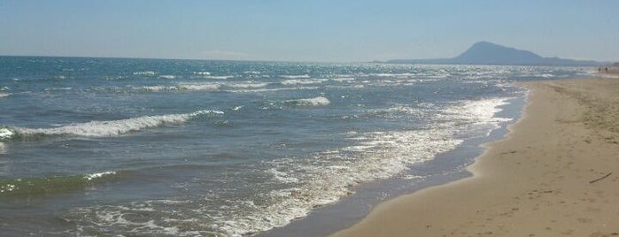 Playa de l'Aigua Morta is one of Playas de la Comunidad Valenciana.