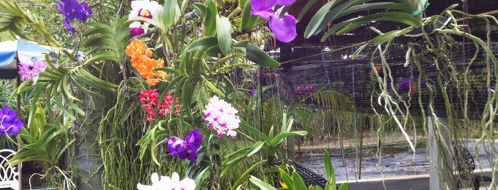 Orchid Farm is one of Sightseeings.