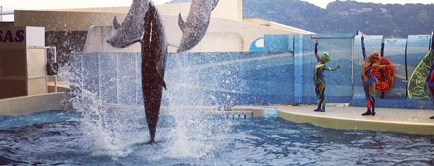 Enoshima Aquarium is one of 神奈川発！子どもと一緒に出掛けられる。.