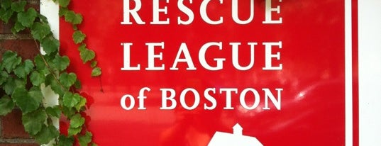 Animal Rescue League Of Boston Dog Park is one of Lugares favoritos de A.