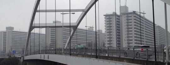 豊島橋 is one of 隅田川の橋.