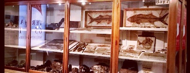 Sedgwick Museum of Earth Sciences is one of Inspired locations of learning.
