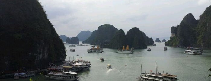 Ha Long Bay is one of You have to see this.