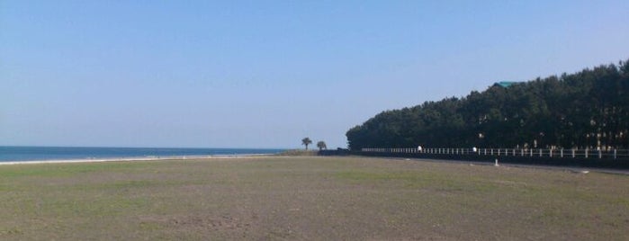 石津浜 is one of 諸星大二郎「暗黒神話」を歩く.