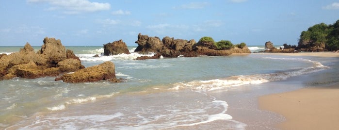 Praia de Tambaba is one of Litoral Paraibano.