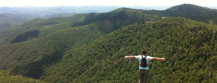 Pisgah National Forest is one of Road Trip!.