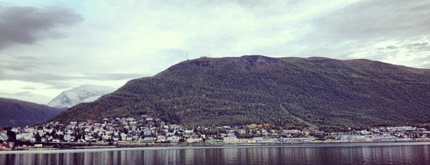 Tromsø havn (port) is one of Must do's in Tromsø, Lappland.