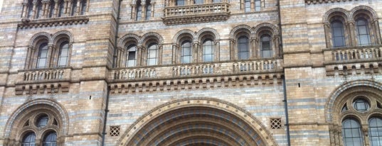 Natural History Museum is one of London Essentials.