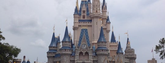 Magic Kingdom Park is one of Nice Places in Orlando, FL.