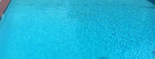 Carlye Wood's Pool is one of Tempat yang Disukai Chester.