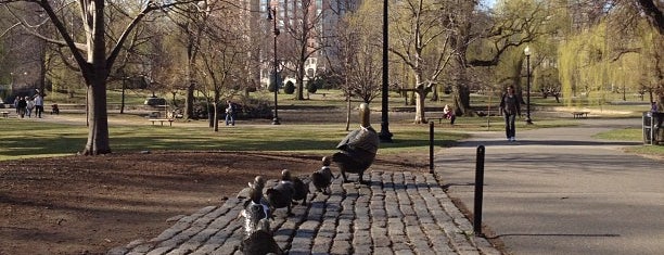 Boston Public Garden is one of City of Boston- Parks.