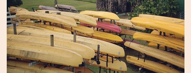 kayak Kauai is one of Kauai.