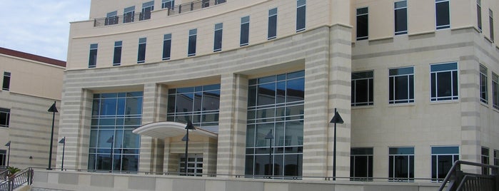 College of Education and Human Development is one of UTSA Colleges.