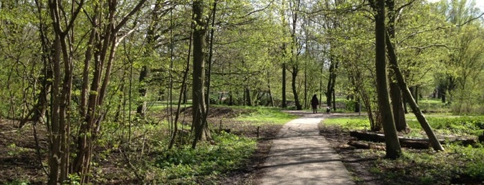 Парк Рембрандта is one of Amsterdam.