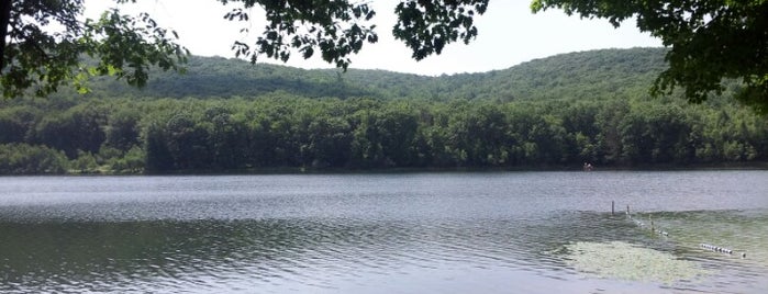Tuscarora State Park is one of Pottsville,PA & Schuylkill County #visitUS.