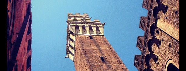 Torre del Mangia is one of Siena, Italia.