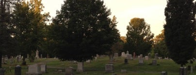 Woodlawn Cemetery is one of Locais curtidos por Bee!.