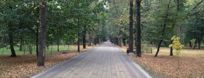 Парк Долинск is one of Tempat yang Disukai Zarafatun.
