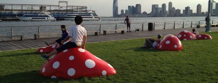 Pier 45 - Hudson River Park is one of สถานที่ที่ Chris ถูกใจ.