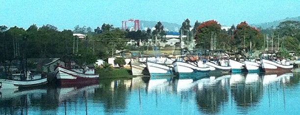 Ponte Rio Itajaí Açu is one of Jordana : понравившиеся места.