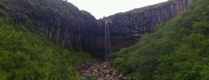 Svartifoss is one of Lost in Iceland.