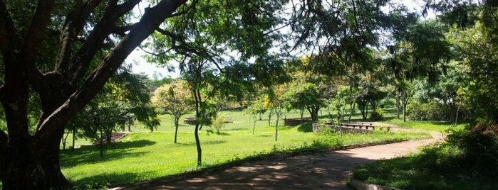 Parque Alfredo Werner Nyffeler is one of Tempat yang Disukai Luiz.