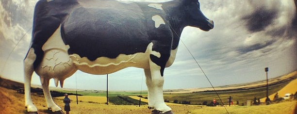 Salem Sue - World's Largest Holstein Cow is one of World's Largest ____ in the US.