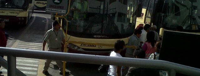 Terrapuerto de Soyuz - Peru Bus is one of Ica.