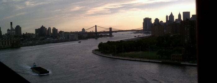 Pont de Williamsburg is one of NYC To-do List.