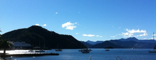 Picton Foreshore is one of Highlights of Marlborough.