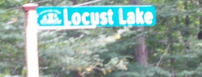 Locust Lake is one of Lizzie : понравившиеся места.