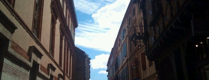 Albi is one of UNESCO World Heritage Sites of Europe (Part 1).