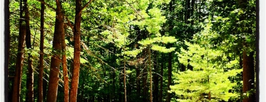 Sebago Lake State Park is one of Posti che sono piaciuti a Dana.