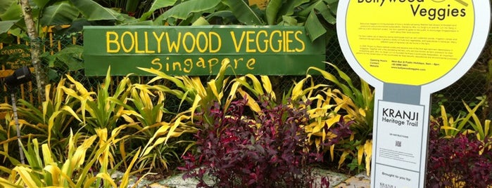 Bollywood Veggies is one of Singapore super favorites.