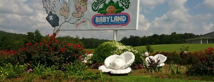 Babyland General Hospital is one of Northeast Georgia Mountains.