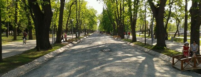 Parc Central is one of The best of Cluj.