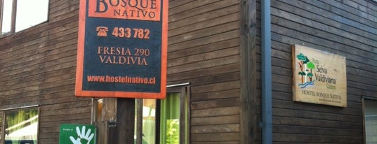 Hostel Bosque Nativo is one of Jorgeさんのお気に入りスポット.