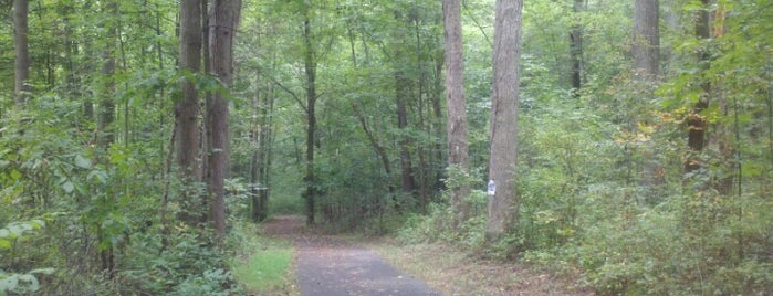 Upper Magruder Branch Park is one of Places I Wanna Go.